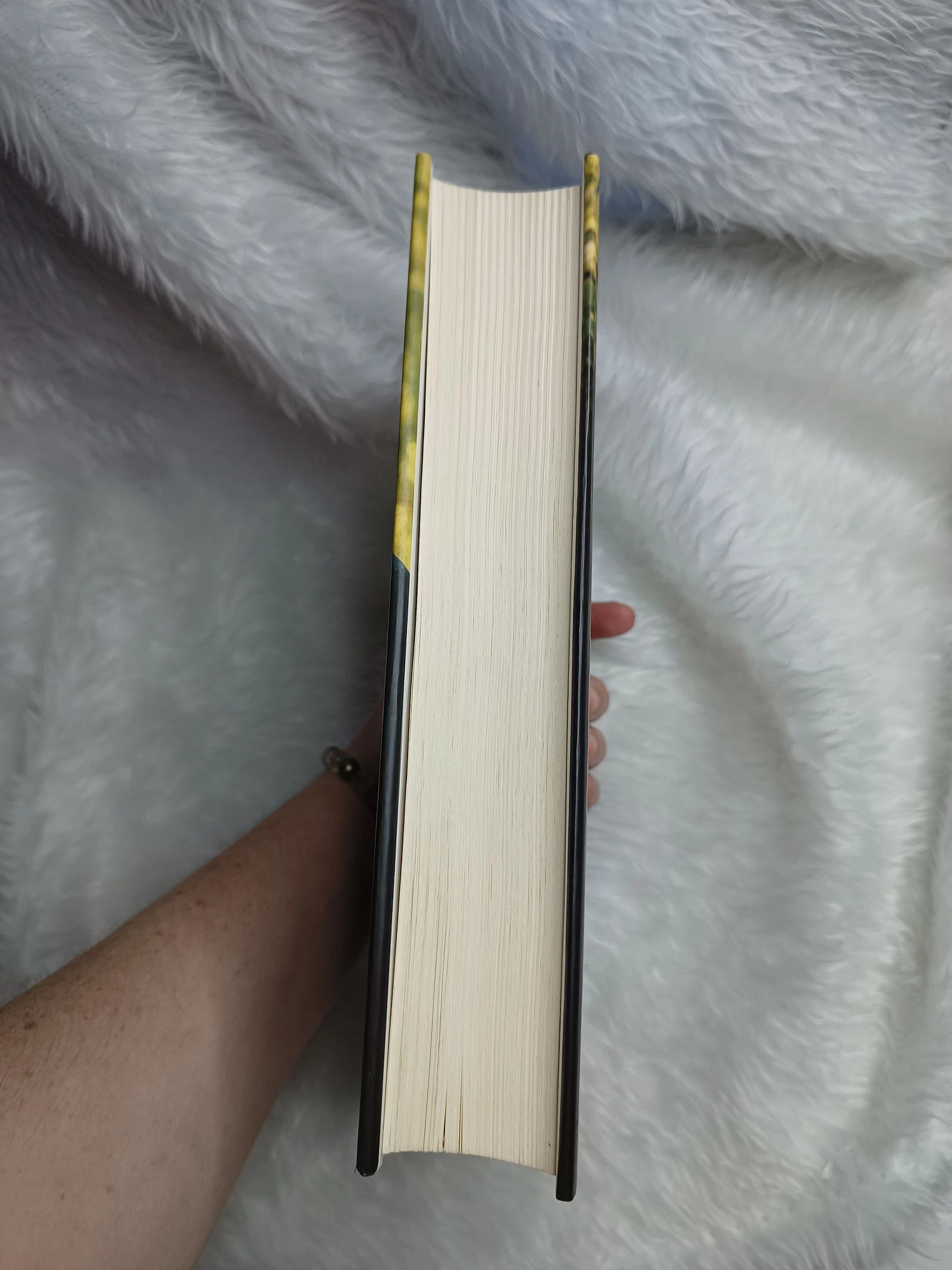 Boek De As van de Hemel – photo 5
